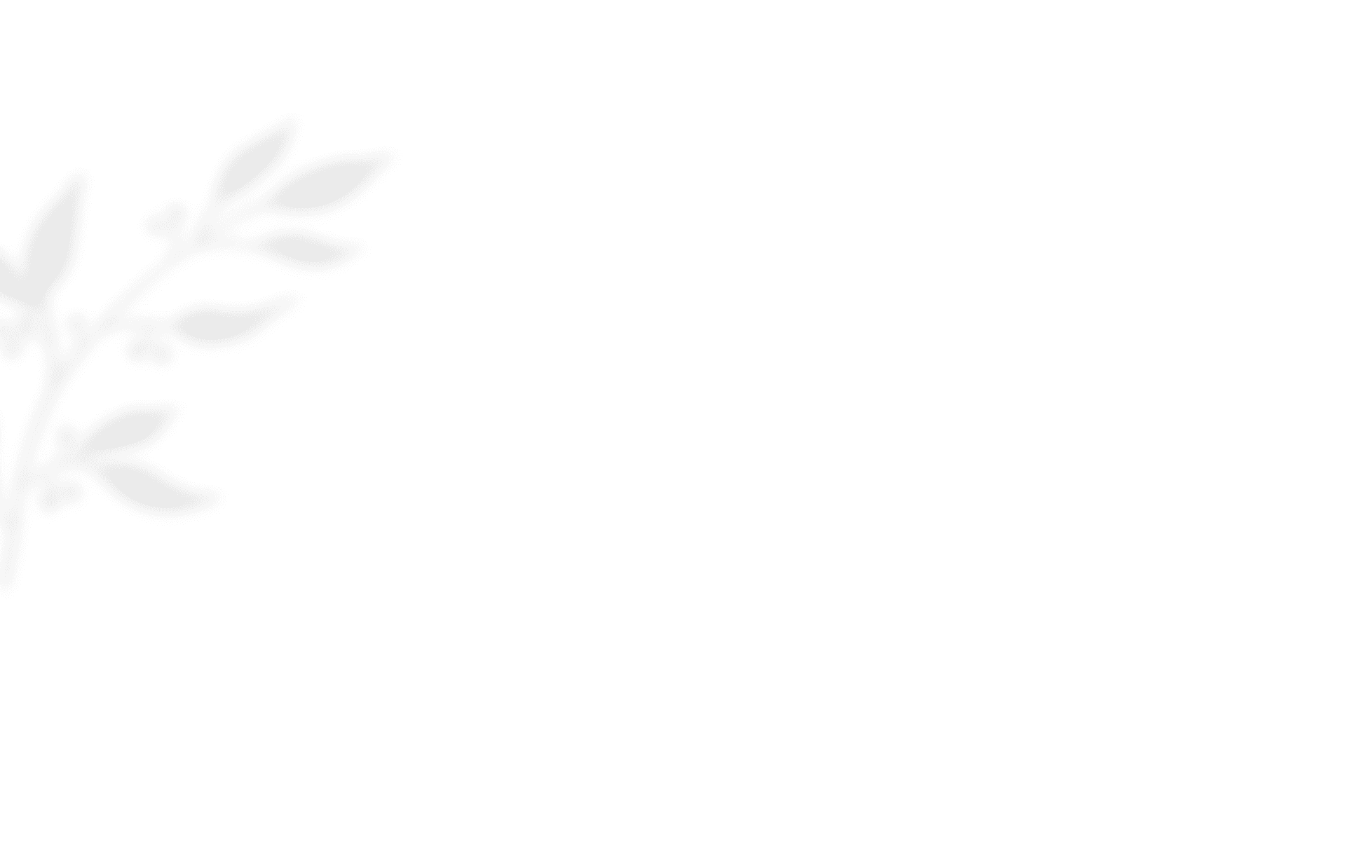 https://www.moanapugibet.com/wp-content/uploads/2020/10/shadow_leaves_03-1.png