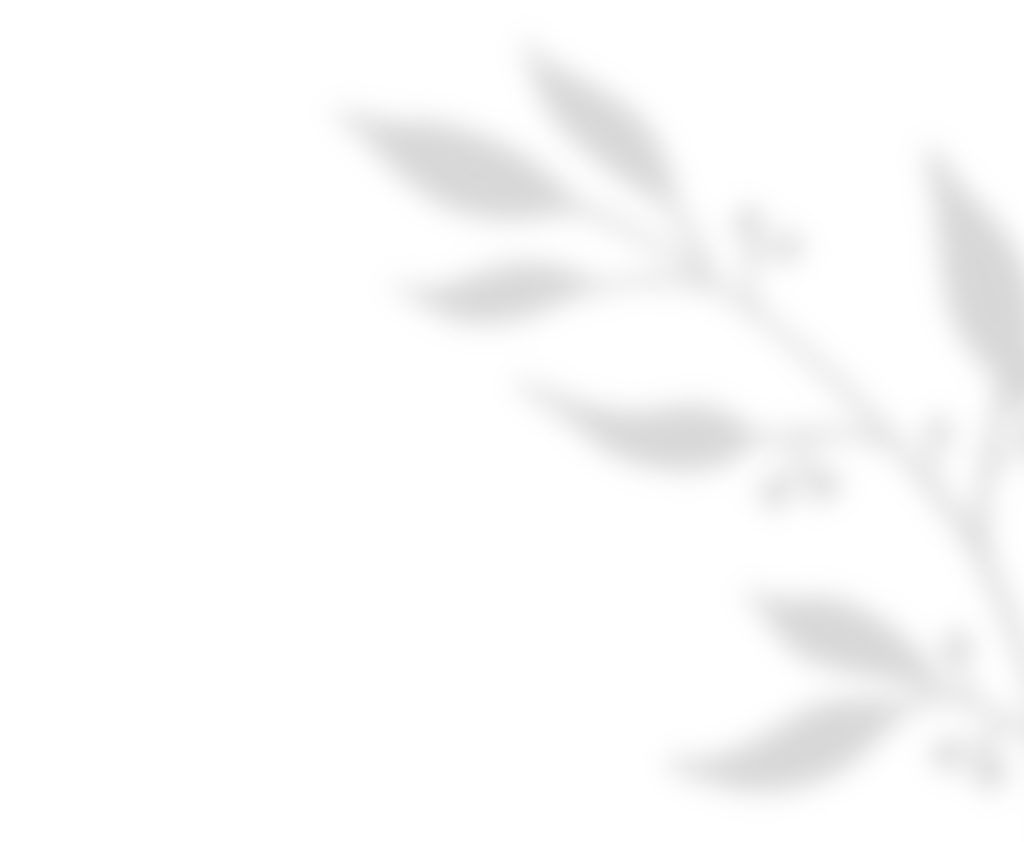 https://www.moanapugibet.com/wp-content/uploads/2020/11/shadow_leaves_01-1.png